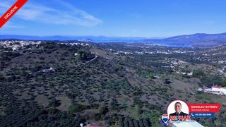 Οικόπεδο 6.566,62 τ.μ. για πώληση, Αργολίδα, Κρανίδι-thumb-15
