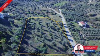 Οικόπεδο 6.566,62 τ.μ. για πώληση, Αργολίδα, Κρανίδι-thumb-9