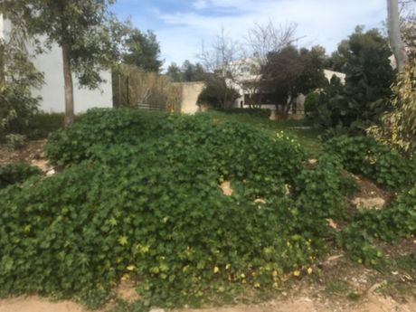 Land plot 429sqm for sale-Marousi