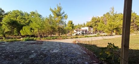 Οικόπεδο 21.000τ.μ. για πώληση-Άγιος στέφανος