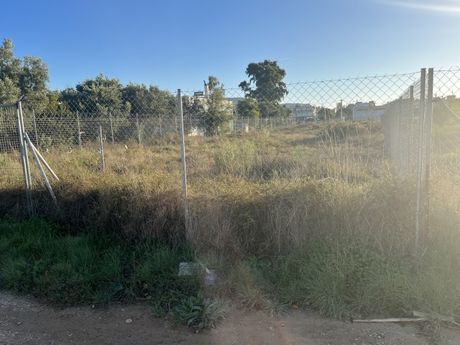 Οικόπεδο 841,3τ.μ. για πώληση-Ανάβυσσος