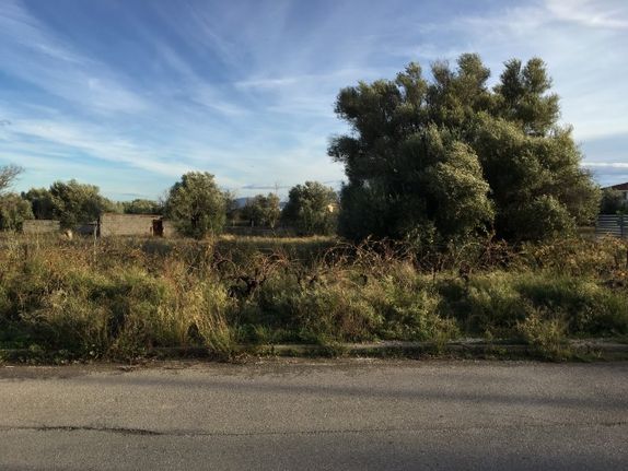 Οικόπεδο 1.046 τ.μ. για πώληση, Αθήνα - Ανατολικά Προάστια, Παιανία