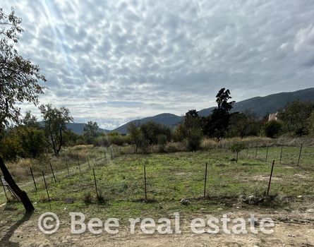 Οικόπεδο 580τ.μ. για πώληση-Βόλος » Νέες παγάσες