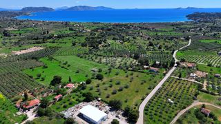 Αγροτεμάχια 9.200 τ.μ. για πώληση, Αργολίδα, Κρανίδι-thumb-13