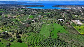 Αγροτεμάχια 9.200 τ.μ. για πώληση, Αργολίδα, Κρανίδι-thumb-7