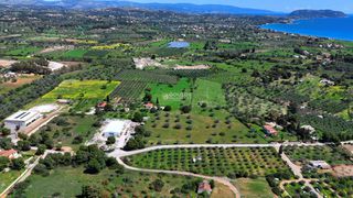 Αγροτεμάχια 9.200 τ.μ. για πώληση, Αργολίδα, Κρανίδι-thumb-11
