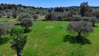 Αγροτεμάχια 9.200 τ.μ. για πώληση, Αργολίδα, Κρανίδι-thumb-1