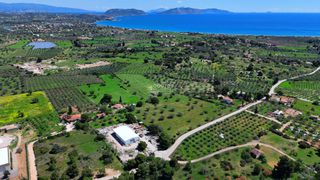 Αγροτεμάχια 9.200 τ.μ. για πώληση, Αργολίδα, Κρανίδι-thumb-12