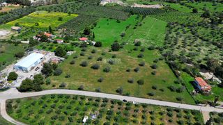 Αγροτεμάχια 9.200 τ.μ. για πώληση, Αργολίδα, Κρανίδι-thumb-4