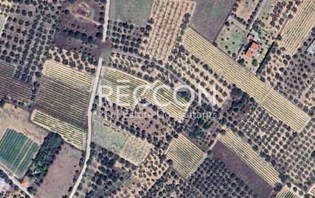 Parcel 2.500sqm for sale-Xilokastro » Melissi