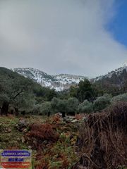 Οικόπεδο 5.800 τ.μ. για πώληση, Ν. Καβάλας, Θάσος-thumb-7