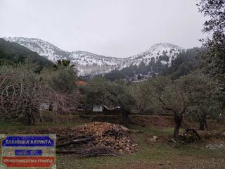 Οικόπεδο 5.800 τ.μ. για πώληση, Ν. Καβάλας, Θάσος-thumb-8