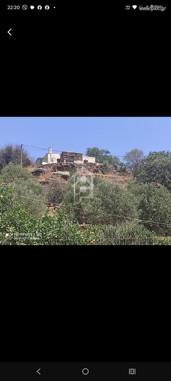 Αγροτεμάχια 14.000 τ.μ. προς πώληση, Μυλοπόταμος Κέας