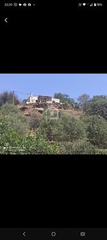 Αγροτεμάχια 14.000 τ.μ. προς πώληση
