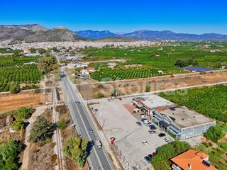 Κατάστημα 1.091,32 τ.μ. για ενοικίαση, Αργολίδα, Άργος-thumb-10