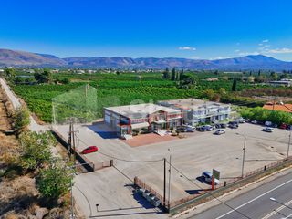 Κατάστημα 1.091,32 τ.μ. για ενοικίαση, Αργολίδα, Άργος-thumb-5