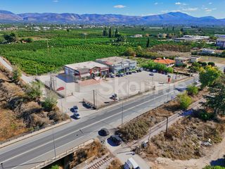 Κατάστημα 1.091,32 τ.μ. για ενοικίαση, Αργολίδα, Άργος-thumb-15