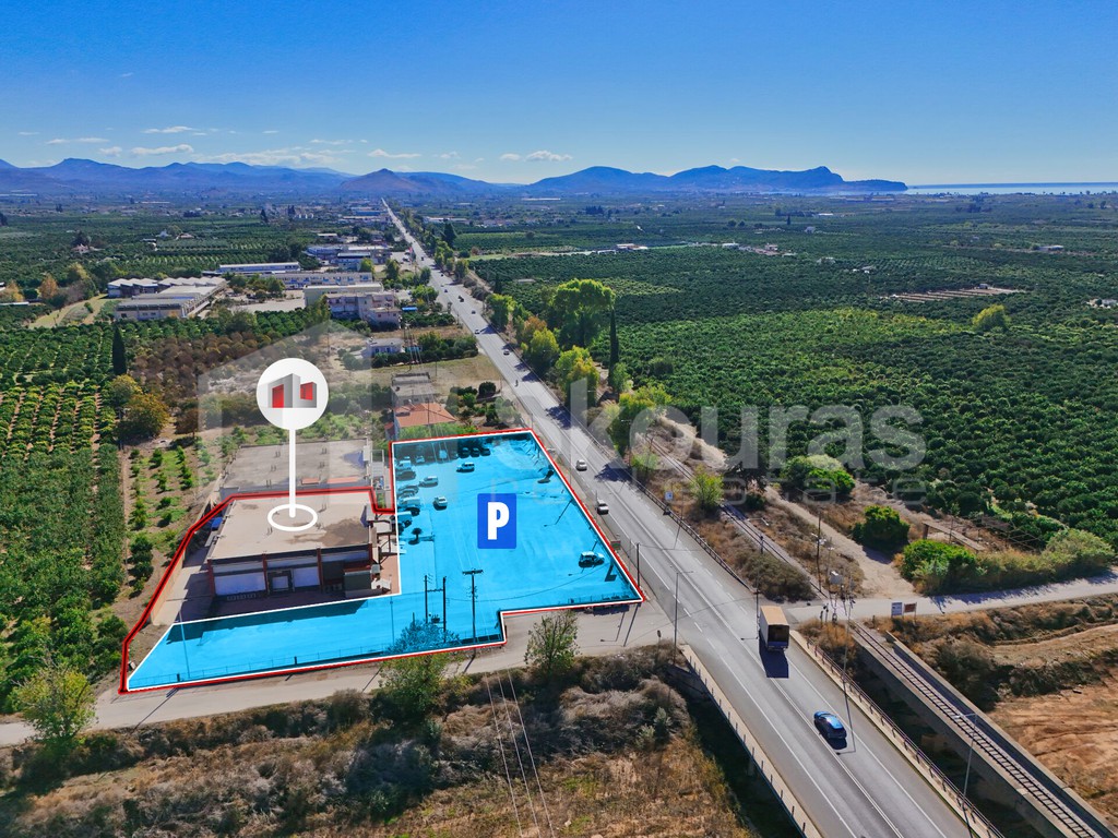 Κατάστημα 1.091,32 τ.μ. προς ενοικίαση, Άργος