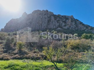Οικόπεδο 800 τ.μ. για πώληση, Αργολίδα, Ασίνη-thumb-7