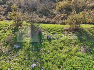 Οικόπεδο 800 τ.μ. για πώληση, Αργολίδα, Ασίνη-thumb-13