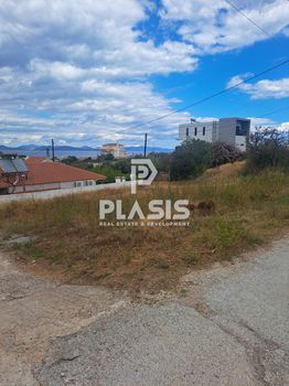 Οικόπεδο 300τ.μ. για πώληση-Ραφήνα