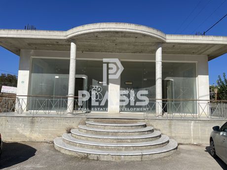Κατάστημα 335τ.μ. για ενοικίαση-Αρτέμιδα (λούτσα)