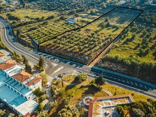 Οικόπεδο 9.355 τ.μ. για πώληση, Μεσσηνία, Πεταλίδι-thumb-4
