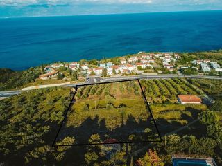 Οικόπεδο 9.355 τ.μ. για πώληση, Μεσσηνία, Πεταλίδι-thumb-3