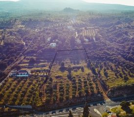 Οικόπεδο 9.355 τ.μ. για πώληση, Μεσσηνία, Πεταλίδι-thumb-1
