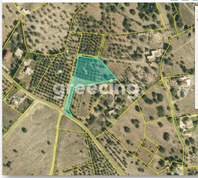 Οικόπεδο 4.055τ.μ. για πώληση-Κρανίδι