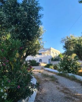 Μονοκατοικία 90τ.μ. για ενοικίαση-Καλύβια θορικού » Λαγονήσι