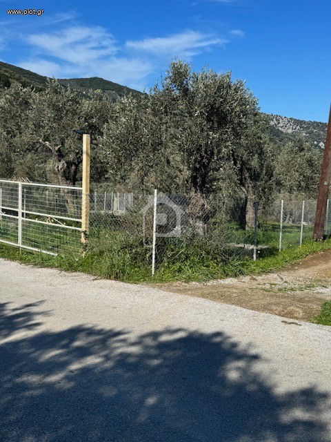 Parcel 2.850 sqm for rent, Sporades, Skiathos