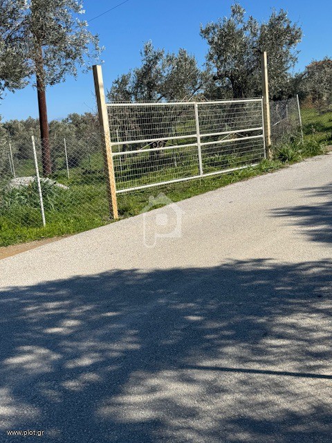 Parcel 2.850 sqm for rent, Sporades, Skiathos