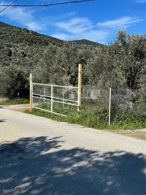 Parcel 2.850 sqm for rent, Sporades, Skiathos
