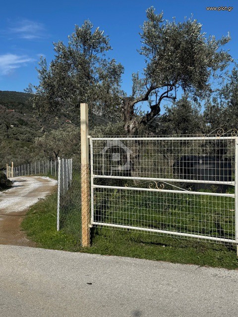 Parcel 2.850 sqm for rent, Sporades, Skiathos