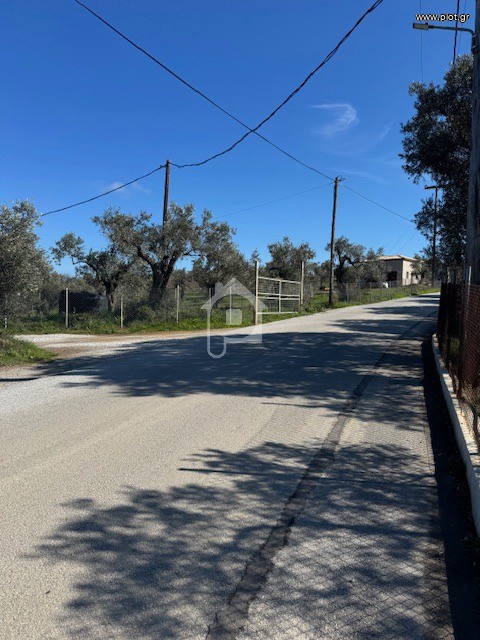 Parcel 2.850 sqm for rent, Sporades, Skiathos