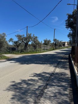 Αγροτεμάχια 2.850 τ.μ. πρός ενοικίαση