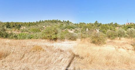 Οικόπεδο 2.500τ.μ. για πώληση-Πολυδένδρι