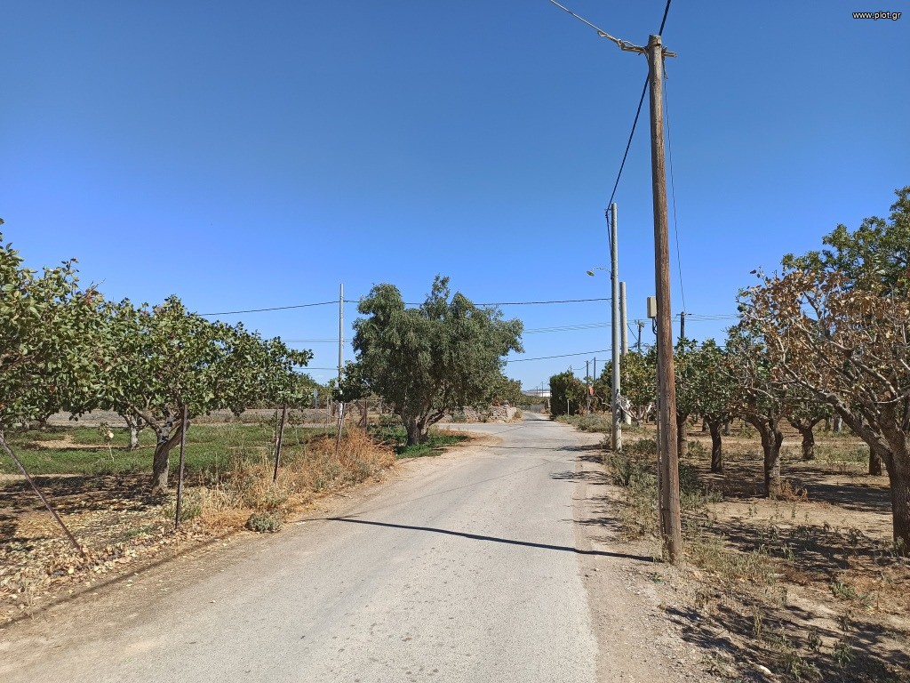 Αγροτεμάχια 6.814 τ.μ. προς πώληση, Αττική - Υπόλοιπο, Μέγαρα