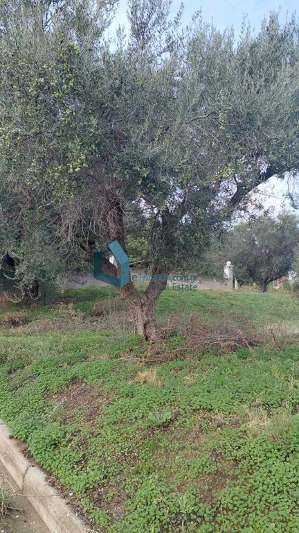 Οικόπεδο 352 τ.μ. προς πώληση, Πανόραμα Αιγιάλειας