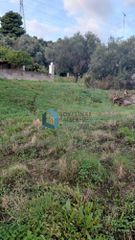 Οικόπεδο 352 τ.μ. προς πώληση, Πανόραμα Αιγιάλειας-thumb-4