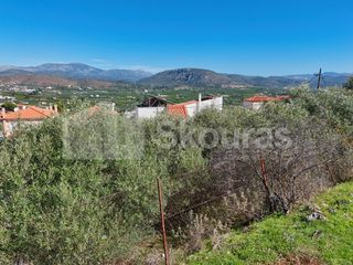 Οικόπεδο 800 τ.μ. για πώληση, Αργολίδα, Ασίνη-thumb-17