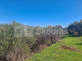 Οικόπεδο 800 τ.μ. για πώληση, Αργολίδα, Ασίνη-thumb-5