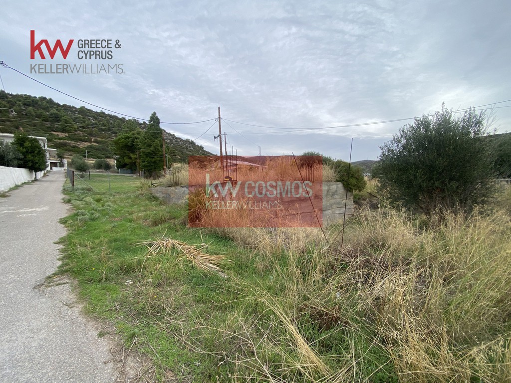 Αγροτεμάχια 301 τ.μ. προς πώληση, Έξω Παναγίτσα