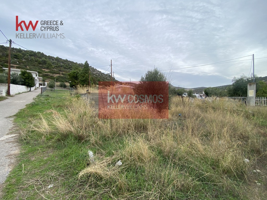 Αγροτεμάχια 301 τ.μ. προς πώληση, Έξω Παναγίτσα
