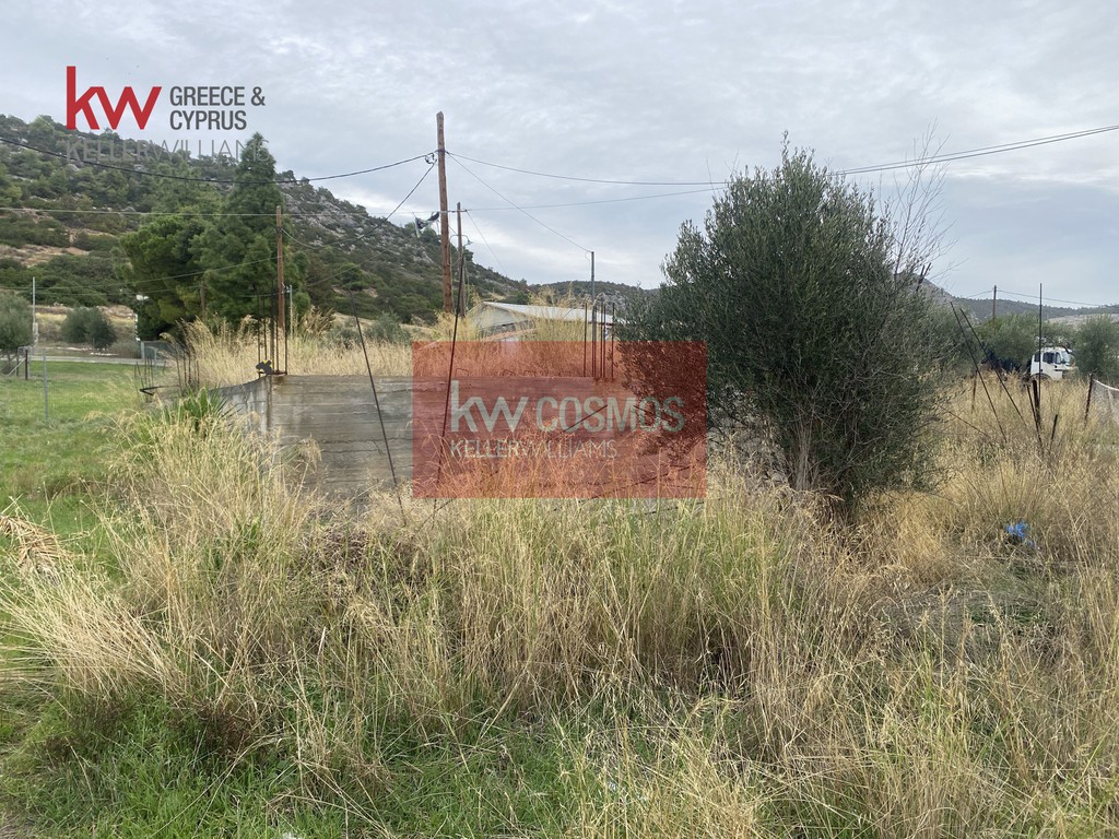 Αγροτεμάχια 301 τ.μ. προς πώληση, Έξω Παναγίτσα