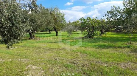 Οικόπεδο 6.000τ.μ. για πώληση-Αχαρνές » Αγριλέζα