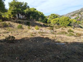 Οικόπεδο 6.000 τ.μ. για πώληση
