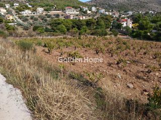 Οικόπεδο 5.200 τ.μ. για πώληση
