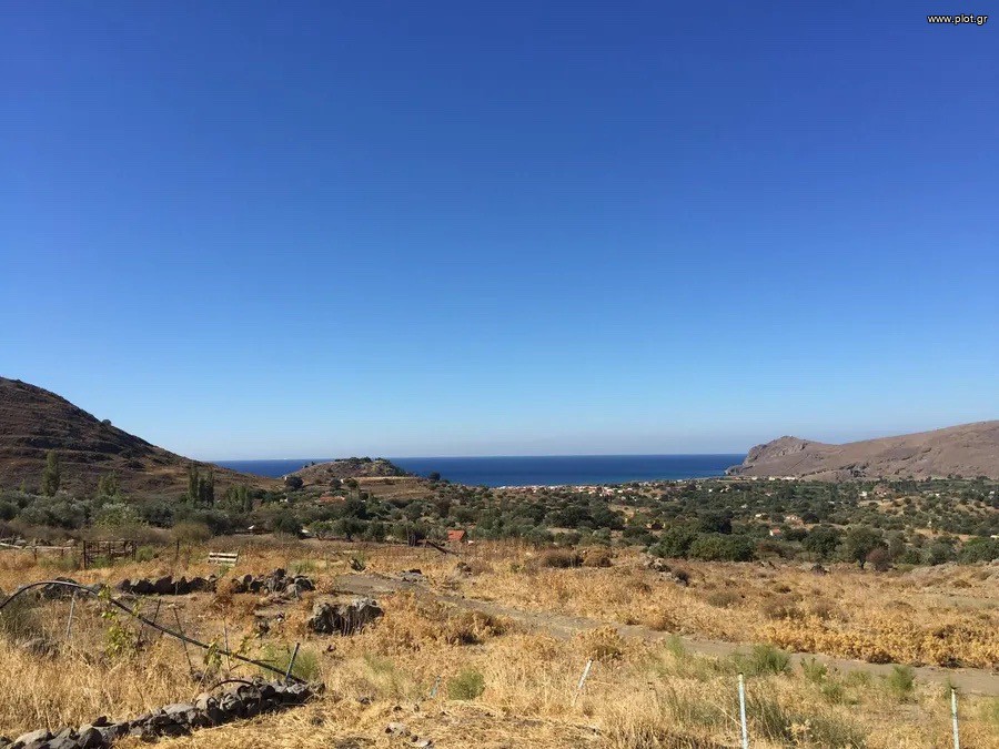 Αγροτεμάχια 268.000 τ.μ. για πώληση, Ν. Λέσβου, Λέσβος - Ερεσός